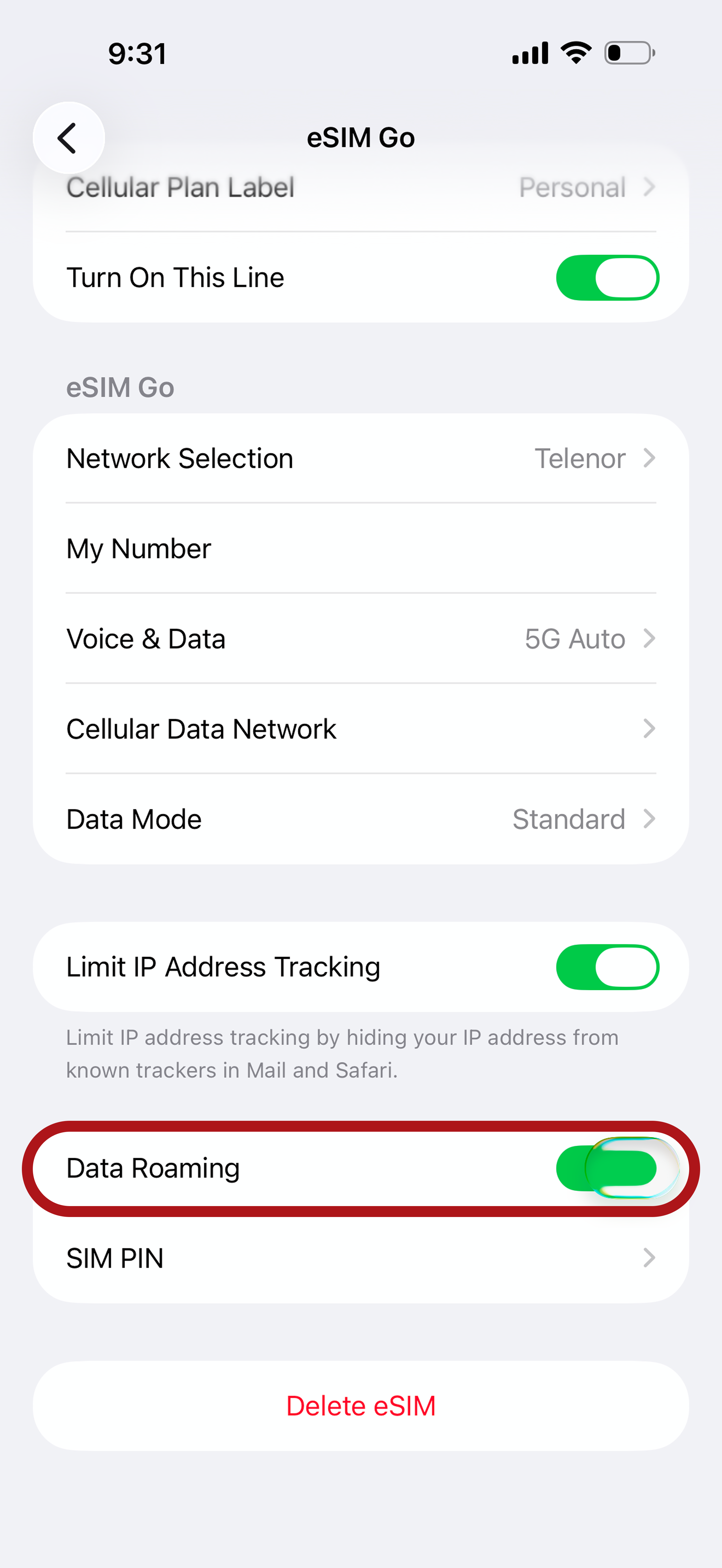 Step 11 - Turn on Data Roaming.png